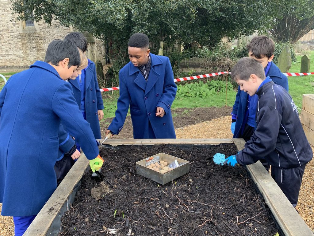 Children gathered around a raised garden bed filled with soil, planting and carefully tending to seedlings outdoors.