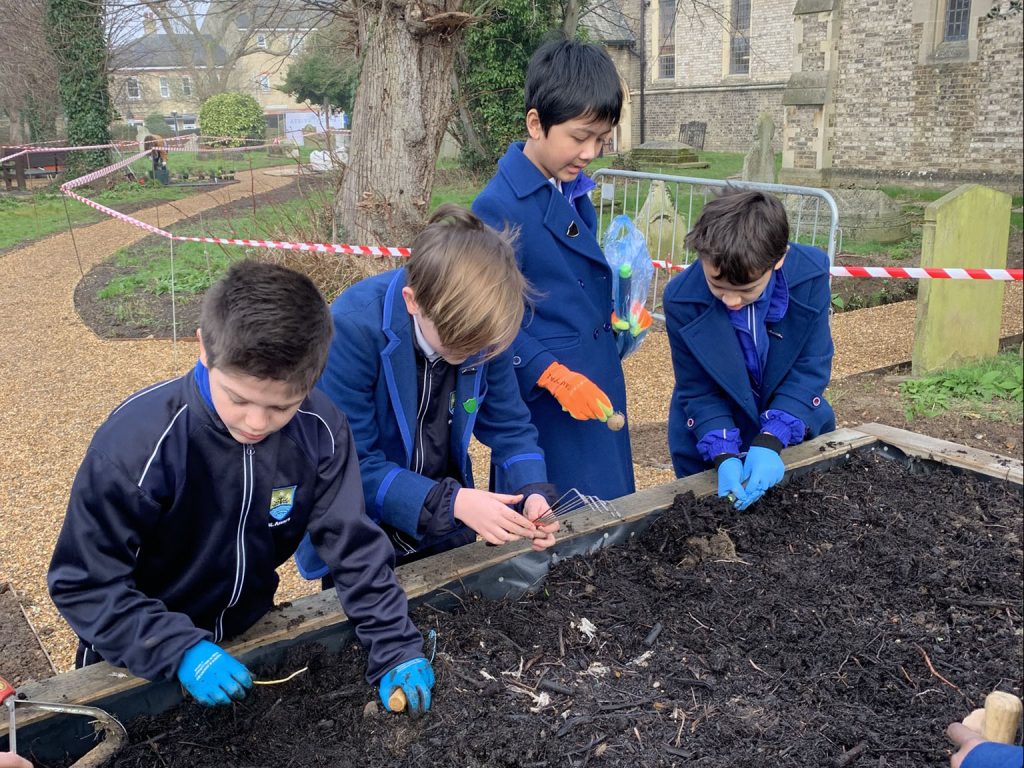 Four children working intently at a raised garden bed, planting bulbs and seeds, with a church building visible in the background.