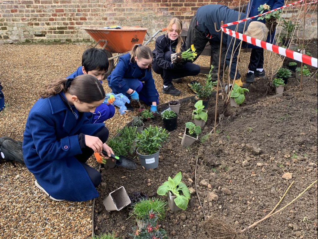 A group of children and an adult planting various plants in a marked flowerbed area, working together enthusiastically outdoors.