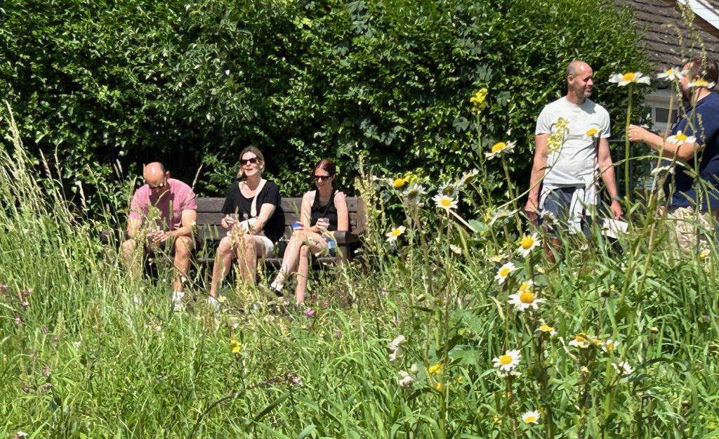 People sit on benches and chat in a garden full of tall wildflowers and grasses. Some are engaged in conversation while others look at their phones. The atmosphere is quiet and relaxed, with lush greenery behind them.