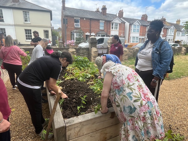 A group of people gardening together outdoors, planting and turning soil in a raised wooden bed on a residential street, with houses and a low brick wall in the background.